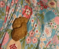 Double very rare nugget