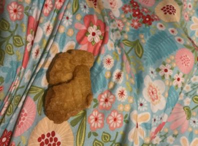 Double very rare nugget