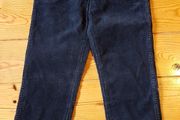 BNWT Navy Wrangler Cords W24