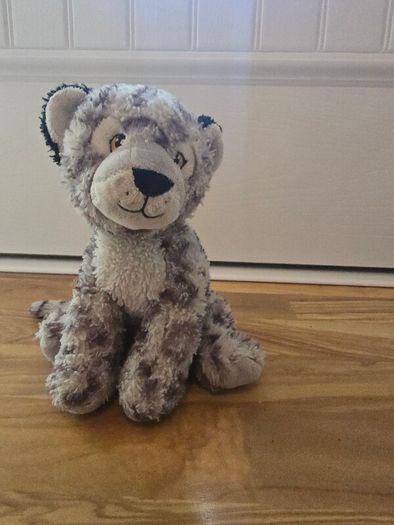 Teddies
