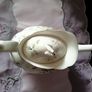 Rare Royal Albert Bone China "HAWORTH" Teapot Image 4
