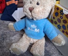 KLM airline bear