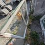 sash window Image 6
