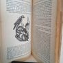 The Natural History of Selborne by Gilbert White (HQ48) Image 5