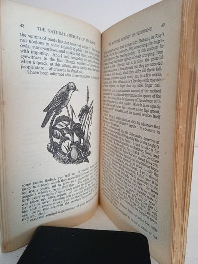 The Natural History of Selborne by Gilbert White (HQ48)
