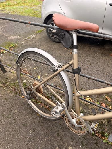Ladies Bike (L)