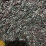 rug Image 4