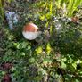 Garden Statue Image 3