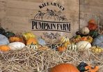 Killarney Pumpkin Farm Family Pass