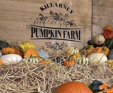 Killarney Pumpkin Farm Family Pass