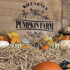 Killarney Pumpkin Farm Family Pass