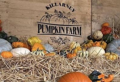 Killarney Pumpkin Farm Family Pass