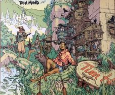 Wolf Parade Thin mind lp