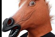 Rubber novelty Halloween Horse mask.
