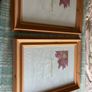 photo frames x 2 , solid oak Image 3