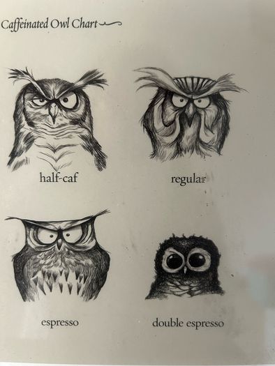 owl print