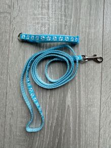Puppy collar and leash brand new