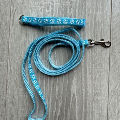 Puppy collar and leash brand new