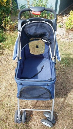 dog buggy