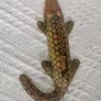 Vintage Cuban crocodile Image 2