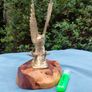 Vintage cast brass eagle on bog oak Image 3