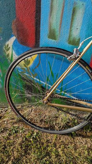Fixie, road, fixed gear bike Felt Brougham.