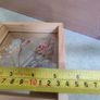 ONE FRAMED Fresh pressed real flower wall decor mounted between two panes of glass, in a WOOD FRAME. Image 2