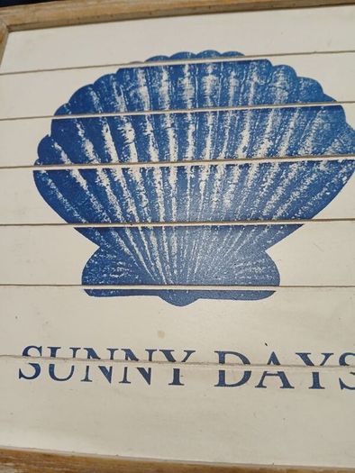 Timber Framed Seashell Painting
