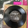 Dinosaur Jr. - Beyond (Limited Edition) Image 10