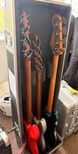 Triple Bass Case / Scott Dixon Cases