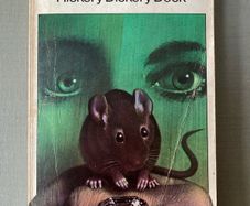 MASSIVE BOOK SALE - Irish Authors, Vintage Paperbacks & Bestsellers - Dublin