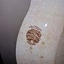 Antique large Burgess & Leigh Trentham serving plate Image 6