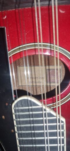 mandolin