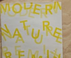 The Charlatans CD (Promo) - Modern Nature Remix