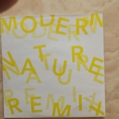 The Charlatans CD (Promo) - Modern Nature Remix