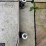 Landyachtz Dinghy Adventure Skeleton cruiser skateboard, 8 x 28.5 Image 5