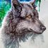 WolfGirl94
