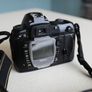 Nikon D70s Image 4