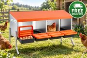 4 Compartment Chicken Nesting Box with Support Legs Roll Away Egg Collection