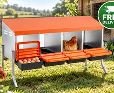 4 Compartment Chicken Nesting Box with Support Legs Roll Away Egg Collection