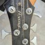 5 String Bass Guitar 'Flying' brand Image 3