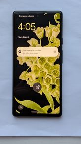 Google pixel 6