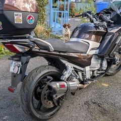 Fjr1300