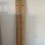 Ash Height Ruler Image 2