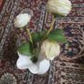 Plant decor Image 3
