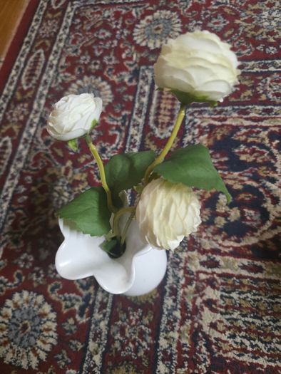 Plant decor