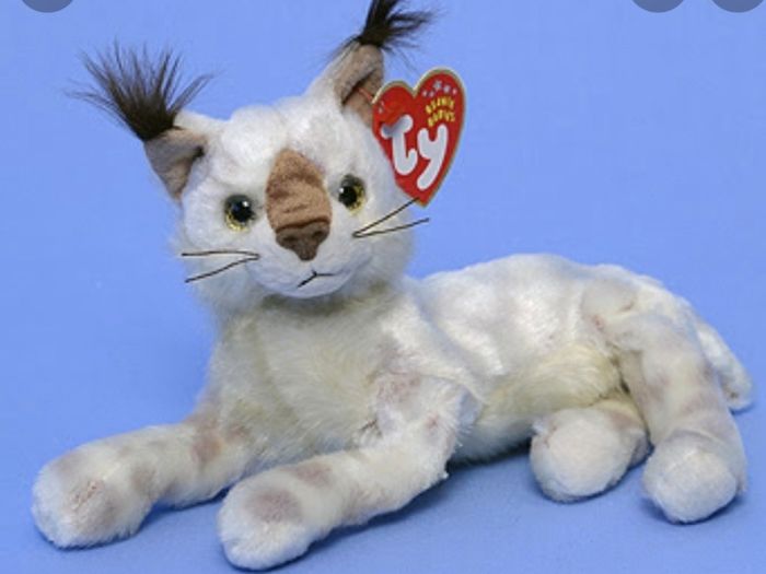 TY Beanie Baby Tracks