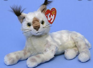 TY Beanie Baby Tracks