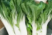 (P) Pak Choi Joi Choi F1 seeds 1g (123759)
