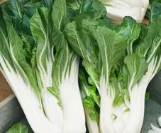 (P) Pak Choi Joi Choi F1 seeds 1g (123759)